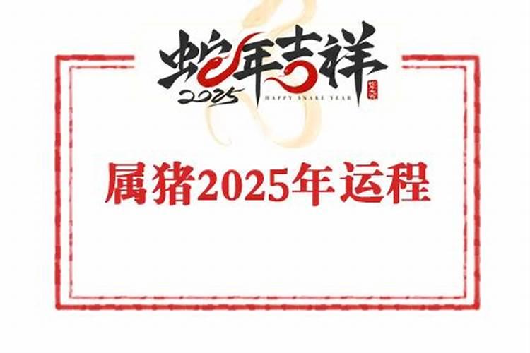 生肖猪2025年运势 属猪2025年运势及运程