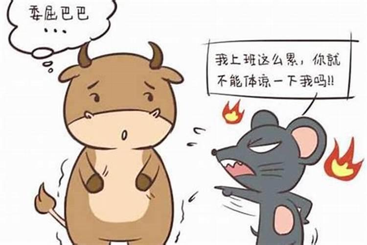 鼠和猪在一起对谁不利