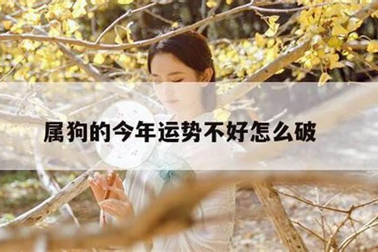河南信阳有哪些民俗