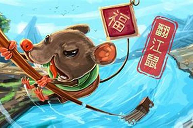 男属鼠女属羊八字合吗,91属羊的在明年鼠年生孩子