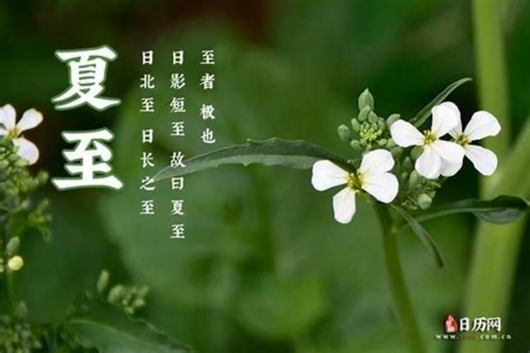 日历上的夏至是什么意思 日历上的夏至意思是什么