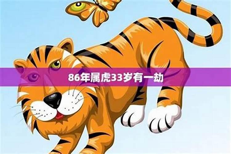 1975年出生属兔人命运属兔人1975年出生是什么命