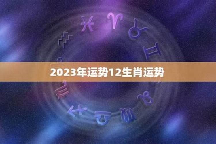生肖兔2025年运势及运程如何