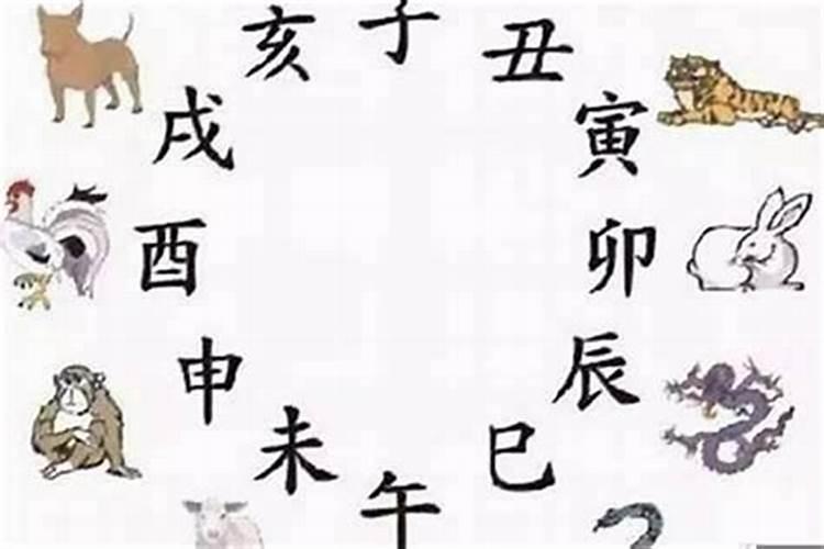属羊的和属鼠,生肖属羊的最佳配偶