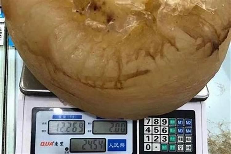 太岁泡的水到底能不能喝,请专业人士指导？太岁泡水能喝吗什么人不...
