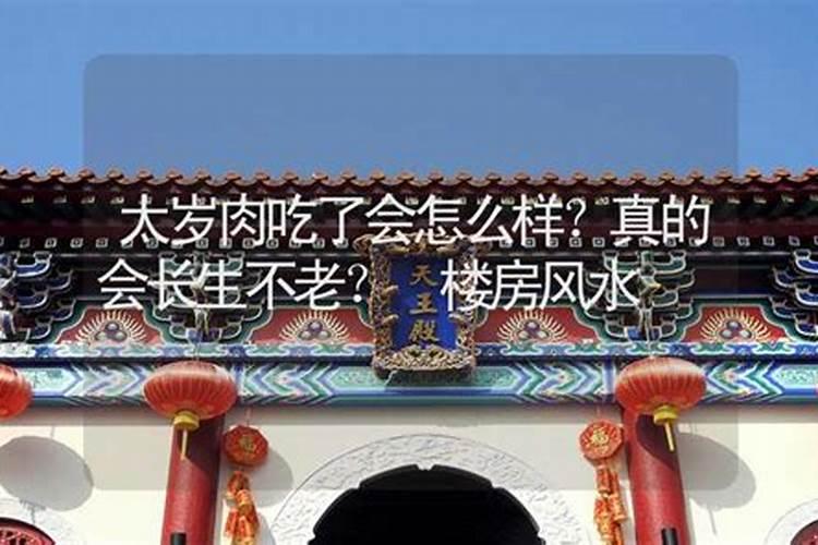 农历12月19日是什么日子