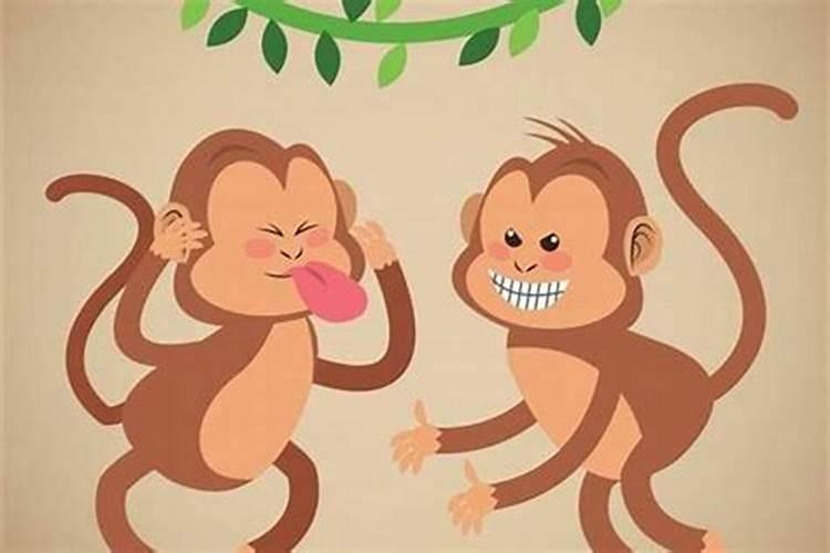 属猴的和属狗的能在一起吗？