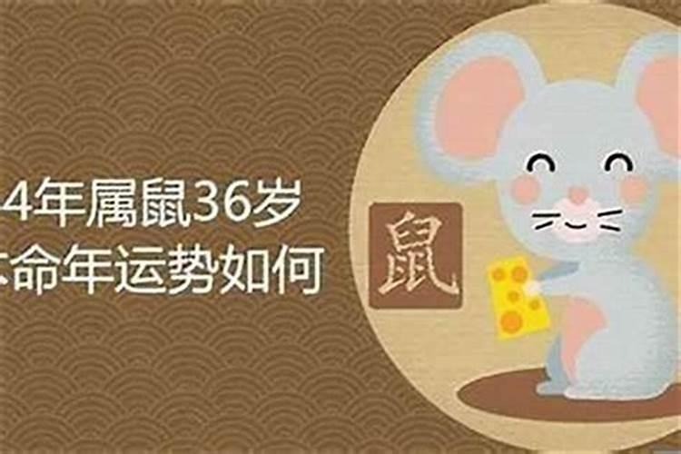 1984年十二月的五行属什么