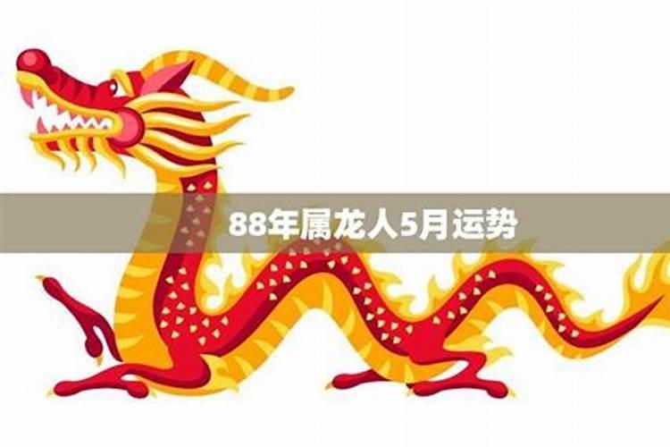 属龙人2025年5月运势