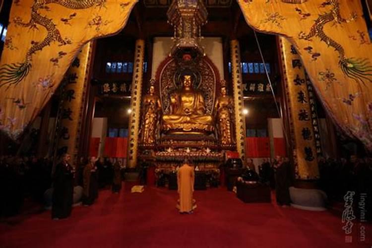贵州“神秘声音”为何不可能是虎啸？我国野生虎生存现状怎样了？百度...