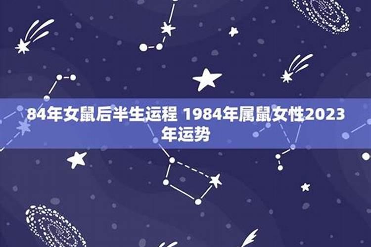 84年2025年属鼠人的全年运势