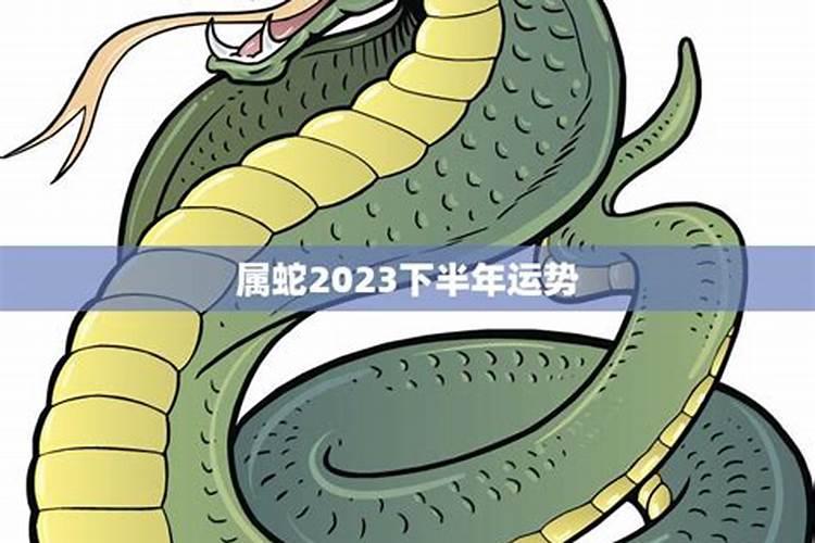 生肖蛇2025年运势及运程如何