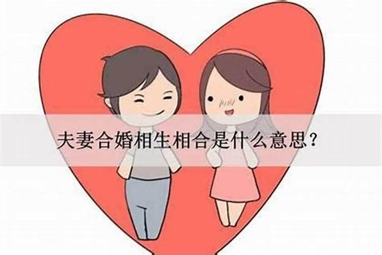 台州冬至吃什么,甜咸冬至圆