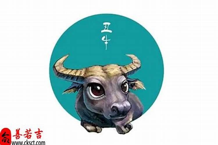 春节福州有什么好玩的地方？