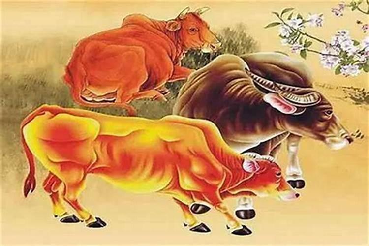 85年属牛女农历12月29日戊时生今年运势？