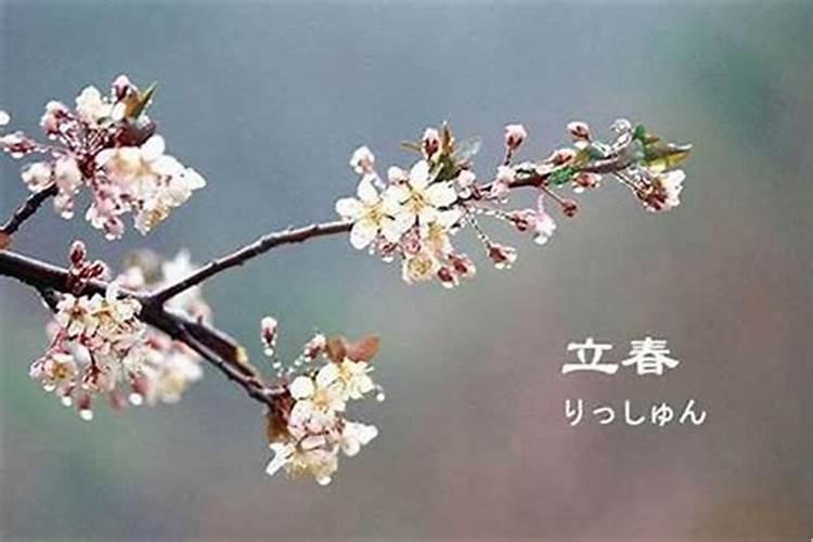 本命年可以结婚吗属虎 本命年可不可以结婚