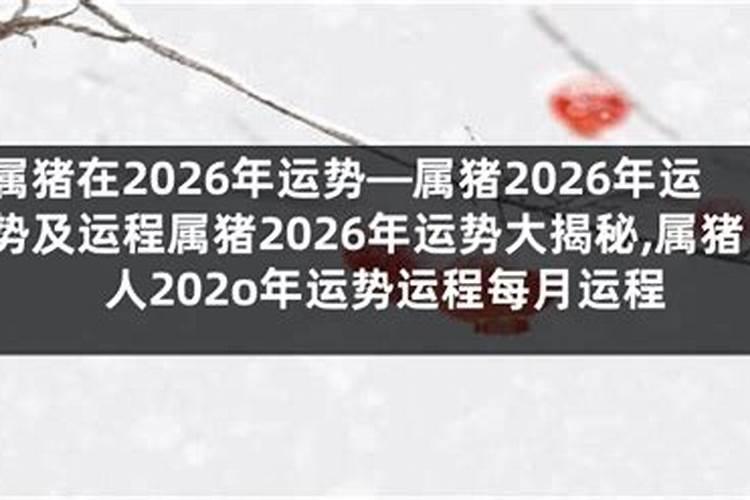 1978年农历8月属马人2025年运势
