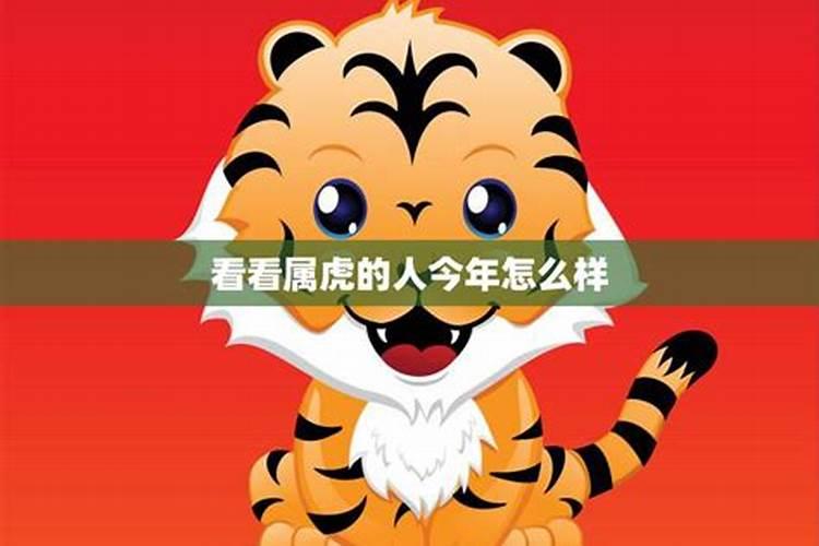 本命年虎年要穿红色吗