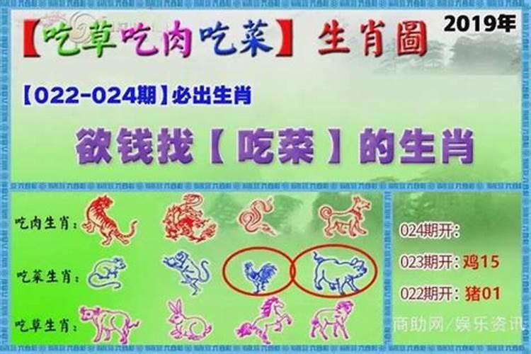 马上就到虎年了,本命年有什么讲究吗？