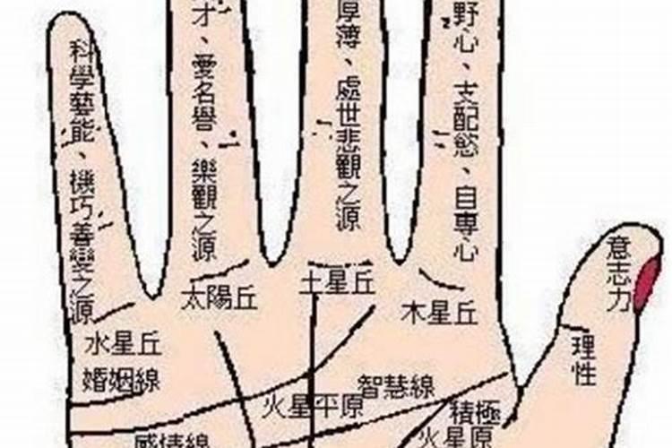 梦见供台神像掉在地上,说是老鼠把桌子咬坏了神像和香炉都掉地下了,没...