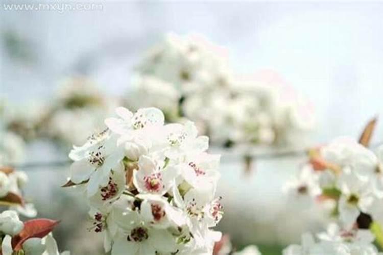 祭拜婴灵 给婴灵立神主牌 是要找神婆还是去什么庙里？求具体答案