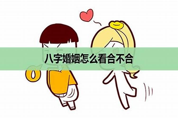 从四柱八字看夫妻宫 夫妻宫为子的人另一半智商高？