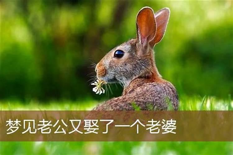 梦见钓龙虾陷进泥坑
