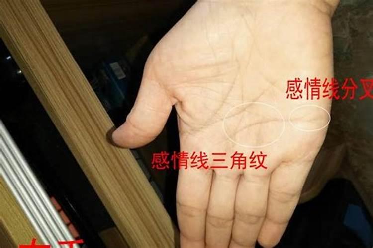 72年的男鼠最佳婚配鸡好吗,72年的属鼠男和81年属鸡女相配吗