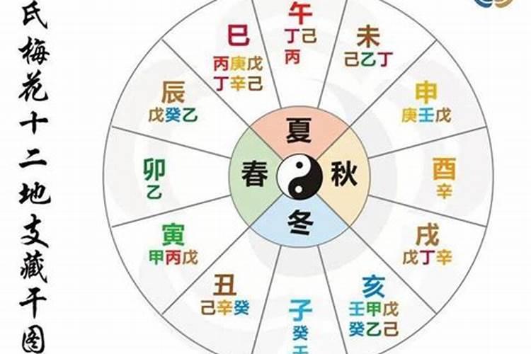 十神,与支十神区别