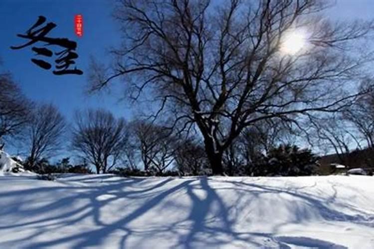 清明节在冬至后的第几天
