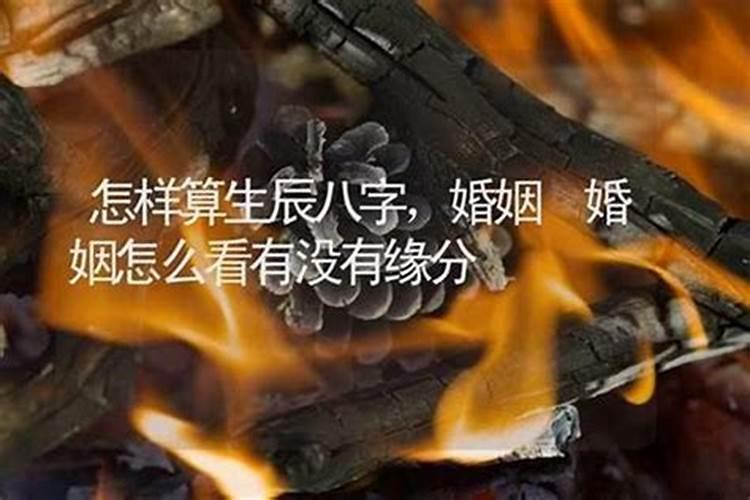 属马25年犯太岁吗