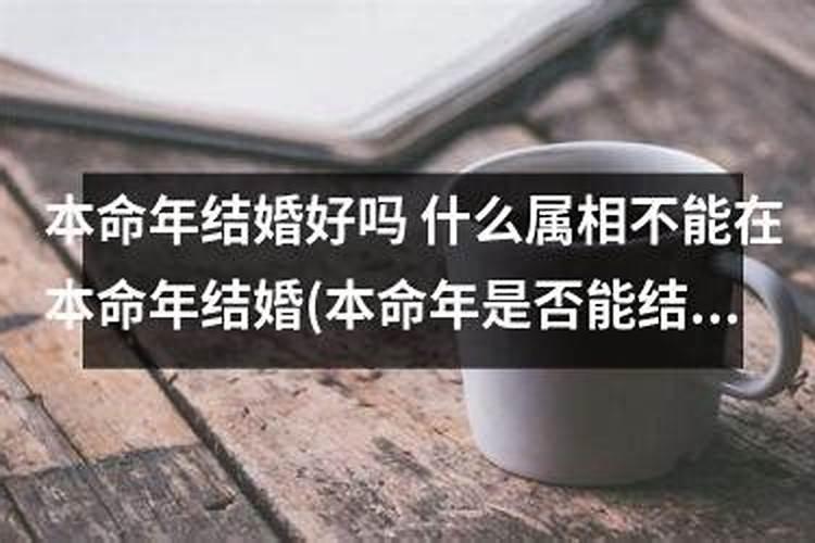 属兔本命年结婚好吗