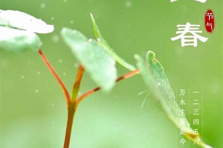 配偶会主动追自己的八字 八字看主动追还是被追？