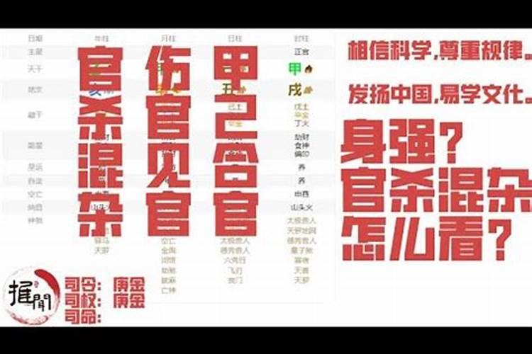 69年属鸡人在2025年的全年运势