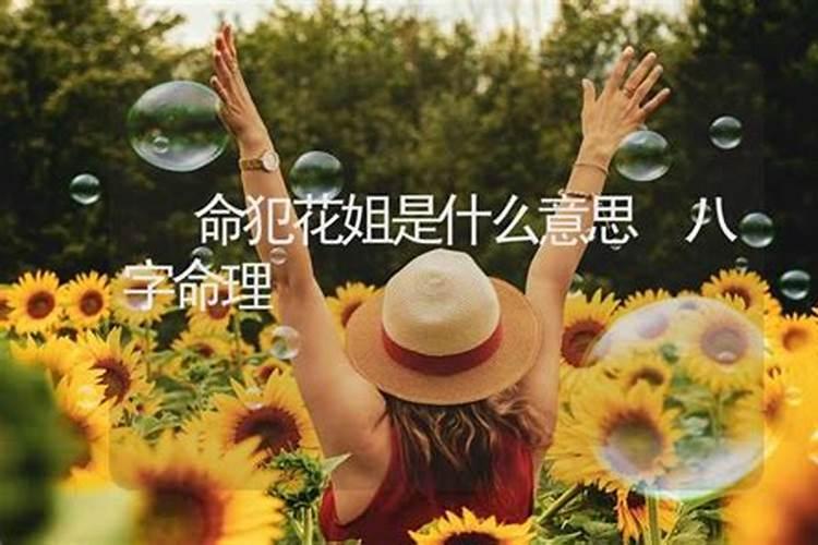 属兔人的婚姻与命运属兔的人婚姻运势如何
