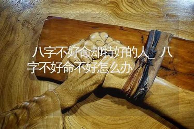 催桃花用什么花最好花瓶招桃花运的方法？