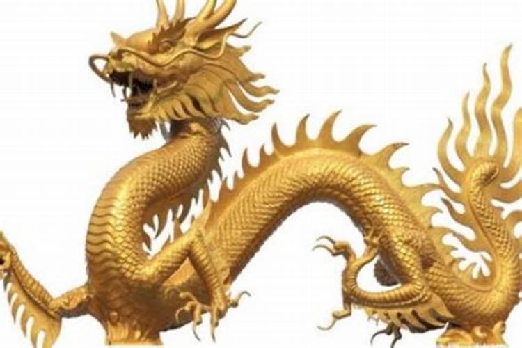 扫墓用什么花,一束多少枝为宜