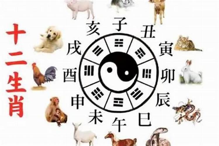 2025年犯太岁最严重的生肖