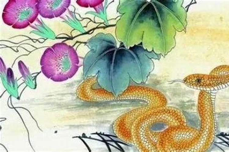 65的蛇在2025年运势