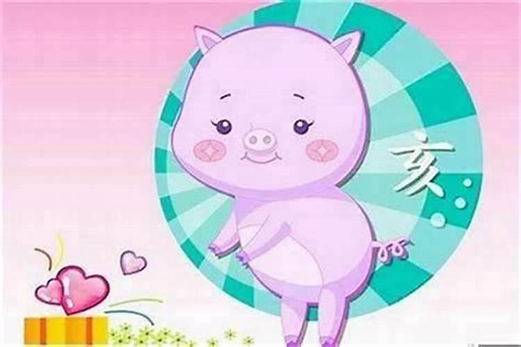 男猪配女兔命运好不好 婚后感情怎么样
