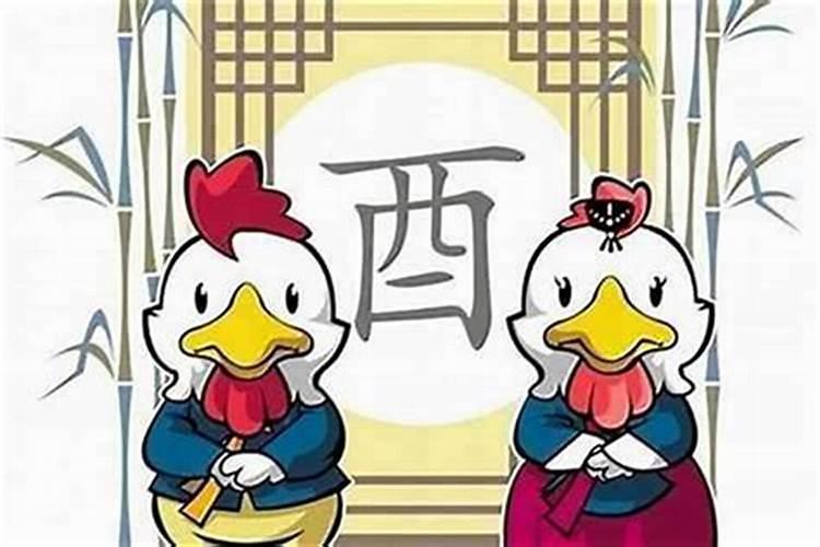 95年属猪男和87年属兔女可以结婚吗 你好？