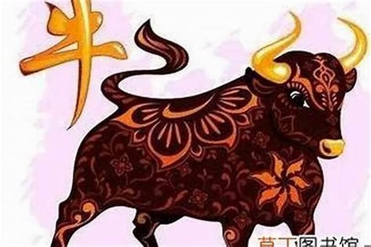 属牛犯太岁佩戴什么饰物