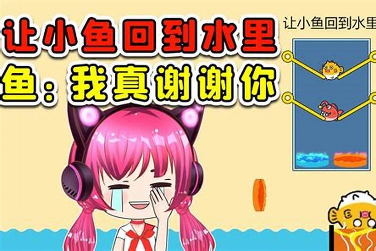 梦见救了鱼