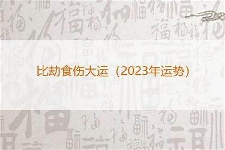比食是什么意思