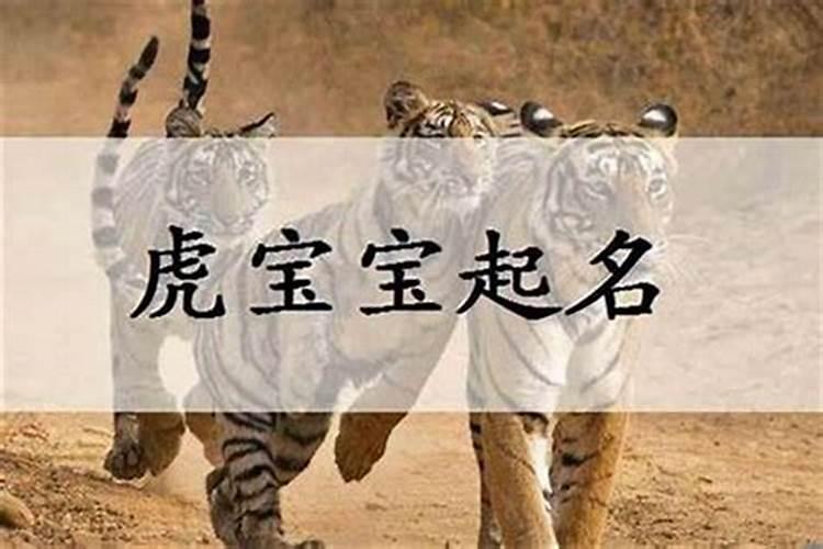 属虎男孩最吉利的名字 属虎男孩最吉利的名字推荐
