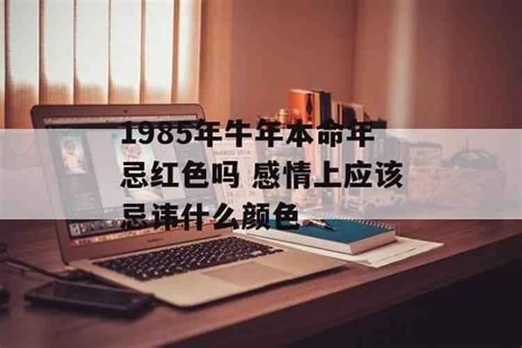 萨顶顶《自由行走的花》歌词…