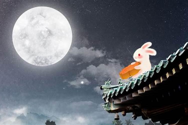 梦见猫受伤很严重