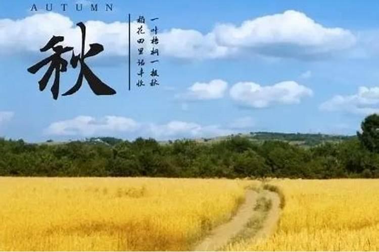 坟地风水顺口溜