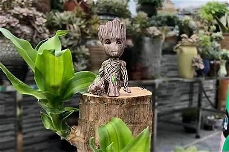 意外死亡的人要抄什么经书？