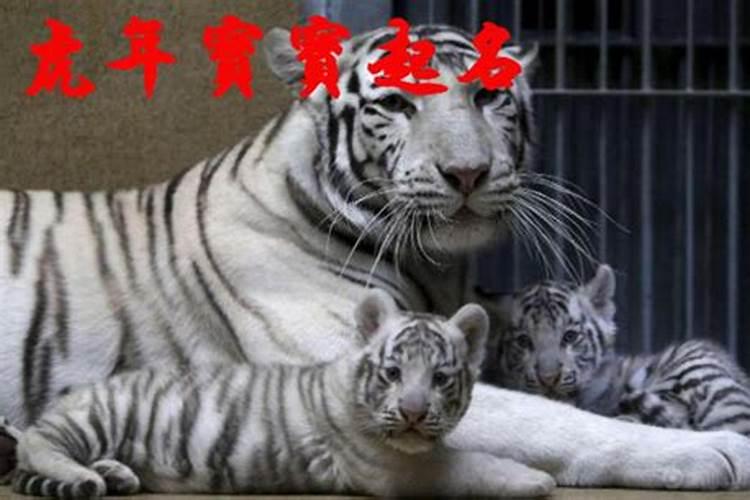 赵公明财神庙什么时候拜合适